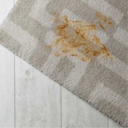 Limpieza de Alfombras Querétaro