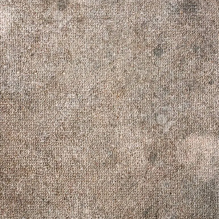 Limpieza de Alfombras Querétaro